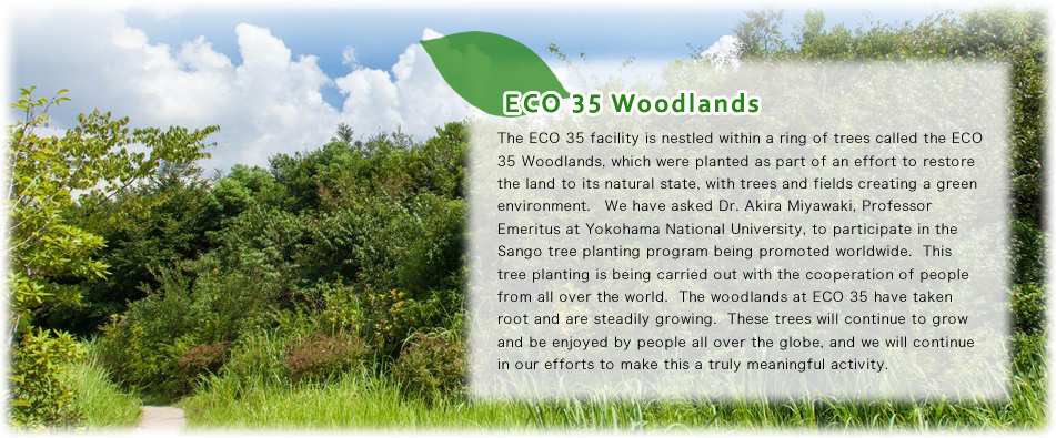 ECO 35 Woodlands