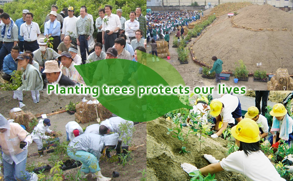 The feature of the Sango Tree Planting