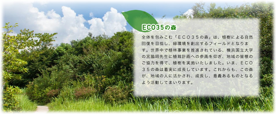 ECO35の森