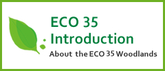 eco35